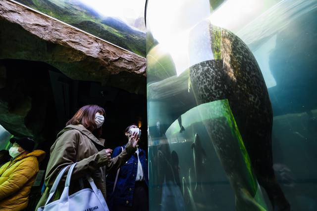 画像19: 【旭川空港発着】2泊3日で新緑の旭川エリアを楽しみ尽くすモデルコース