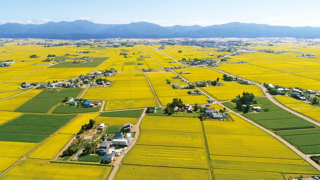 画像: 自治体所有の温泉施設や道の駅などで提供する料理の提案と監修を、JALが初めて実施