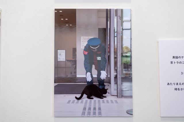 画像3: 尾道さんぽで感動を見つける。しまなみ海道1泊2日よくばり旅(前編)