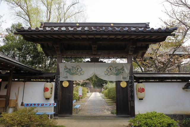 画像: 【島後】隠岐国分寺