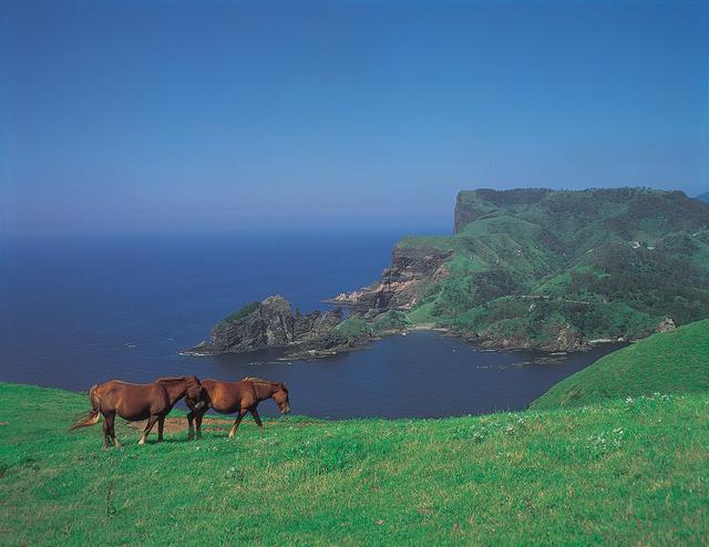画像1: 【島前】国賀海岸