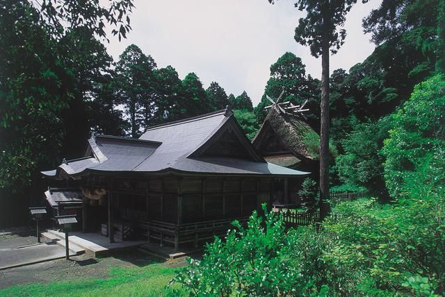 画像1: 【島後】玉若酢命神社