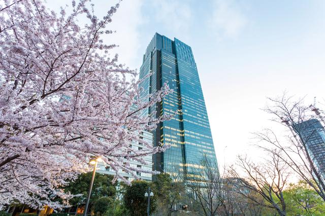 画像1: その街での旅の記憶とつながる香り|ザ・リッツ・カールトン東京