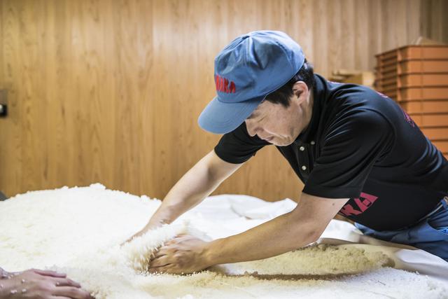 画像3: お土産にも最適。小樽でしか買えない酒「宝川」|田中酒造【北海道小樽市】