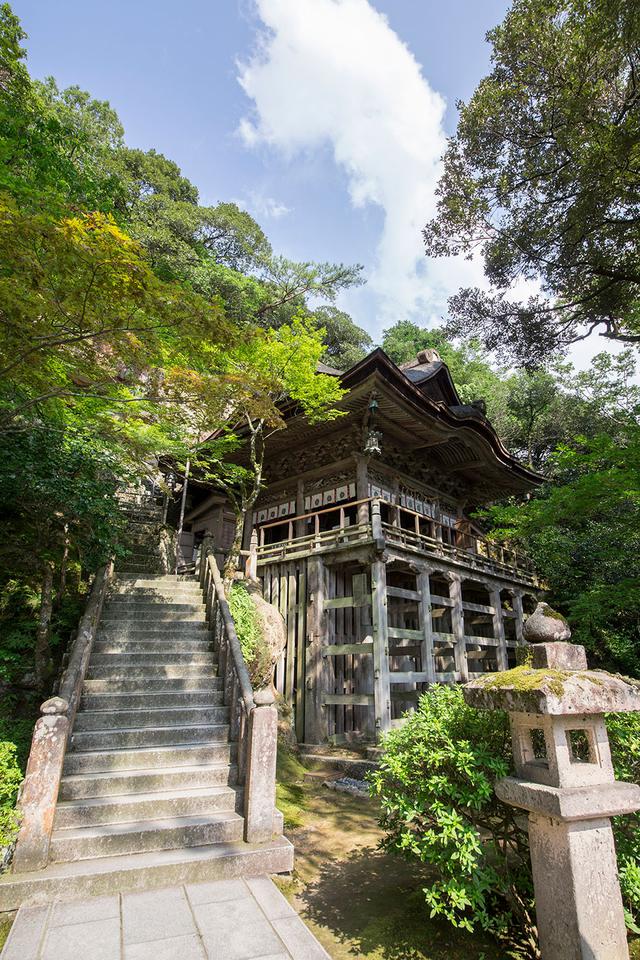 画像7: 石川県小松市 “五感”で楽しむデトックストリップ!