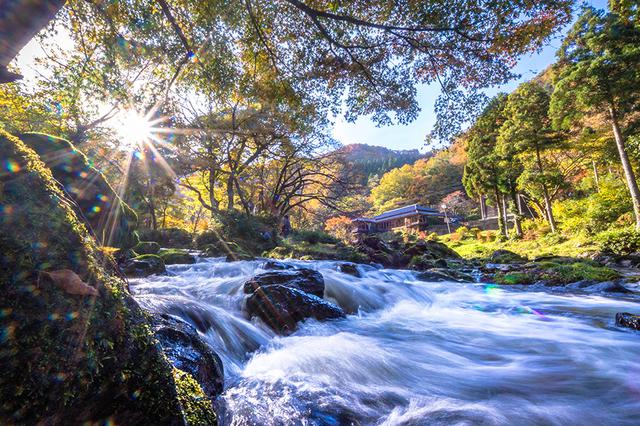 画像2: 石川県小松市 “五感”で楽しむデトックストリップ!