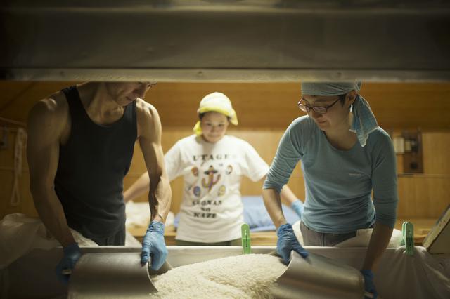 画像3: 日本最古の酒米・雄町を守り抜く岡山の酒蔵というプライド|辻本店【岡山県真庭市】