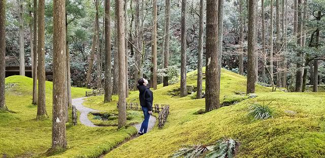 画像4: 石川県小松市 “五感”で楽しむデトックストリップ!