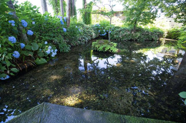 画像1: 【絶景⑦】足清水などを楽しめる「六郷湧水群」で癒やしのひとときを(美郷町)