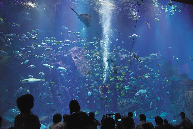 画像14: 夏こそ美しい。秋田・夏の絶景スポットを巡る旅【2021年版】