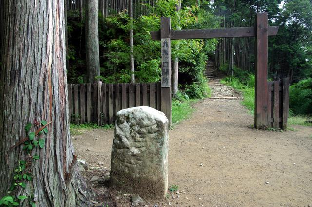 画像1: パワースポット・熊野古道で森林浴