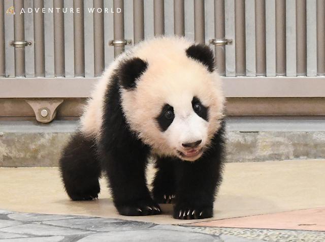 画像: 2021年4月9日撮影