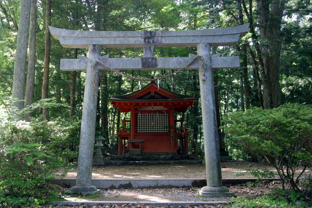 画像2: パワースポット・熊野古道で森林浴
