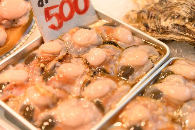 画像6: ひとり、日帰り、1万円の旅!~青森編~