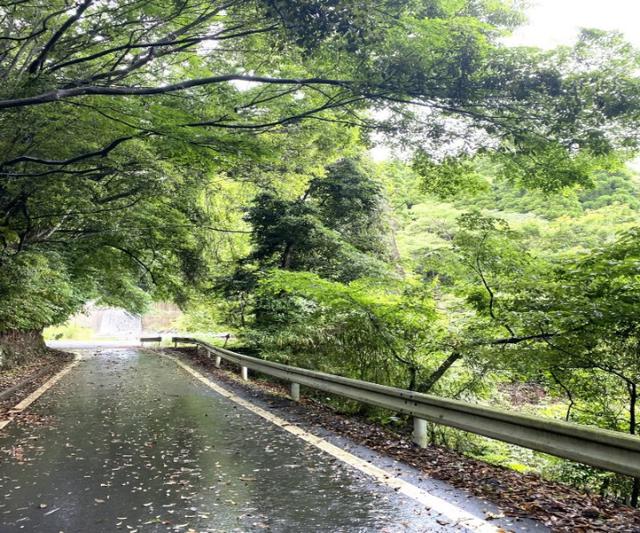 画像4: 宮崎県えびの市 絶景の宝庫でサイクリングを満喫!