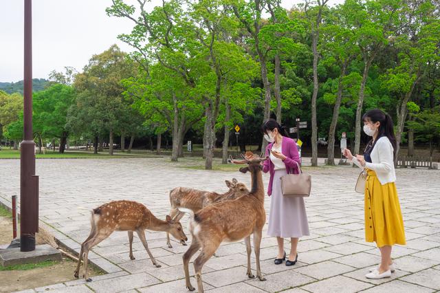 画像2: 奈良公園で「浮見堂」などを巡りながら母娘で過ごす時間