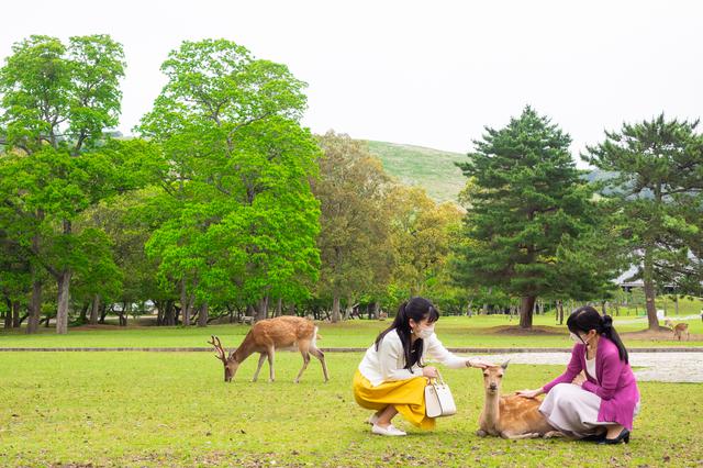 画像1: JALカードの「マイル旅」:週末の奈良で、距離が縮まる母娘旅編