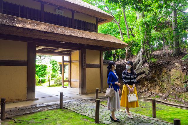 画像1: 茶の湯発祥の地で奈良を体感すべく、「慈光院」でお抹茶をいただく