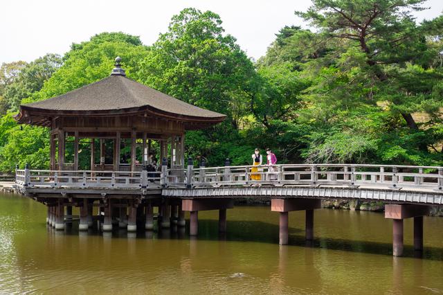 画像1: 奈良公園で「浮見堂」などを巡りながら母娘で過ごす時間
