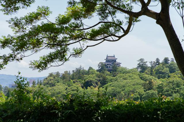 画像2: 松平不昧公が礎を築いた茶の湯文化を、ゆかりの茶室で