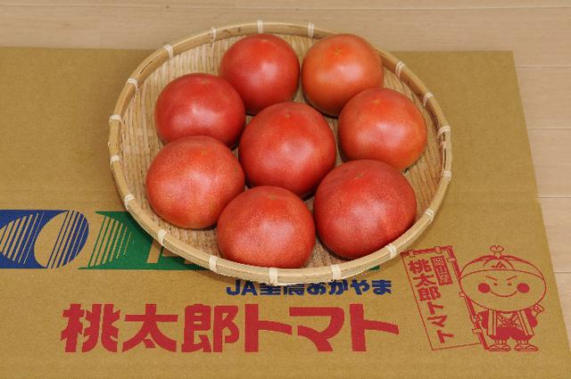 画像8: 「晴れの国 おかやま」育ちの農産物をご紹介!