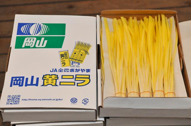 画像6: 「晴れの国 おかやま」育ちの農産物をご紹介!