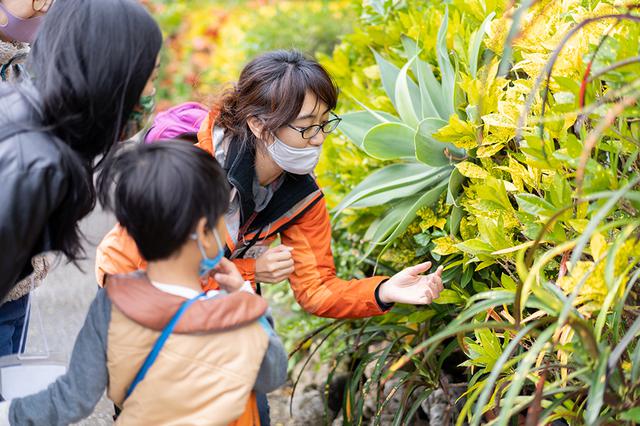画像: Photo: Endemic Garden H