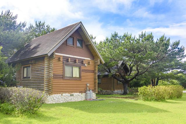 画像1: 【散策・宿泊】身近に自然を感じる「国頭村森林公園・やんばる 森のおもちゃ美術館」