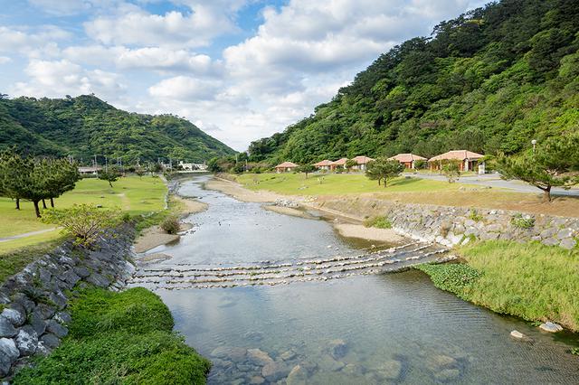画像1: 奥やんばるの里 Photo: Endemic Garden H