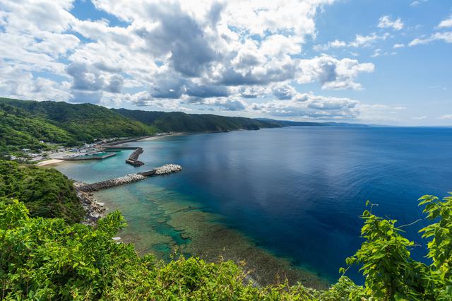 画像1: 旅が暮らしに変わる。注目の「2地域居住」体験ツアー 沖縄県・国頭村編