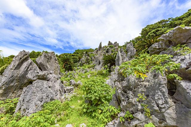 画像1: 【散策】壮大な熱帯カルスト地形に圧倒される「大石林山」