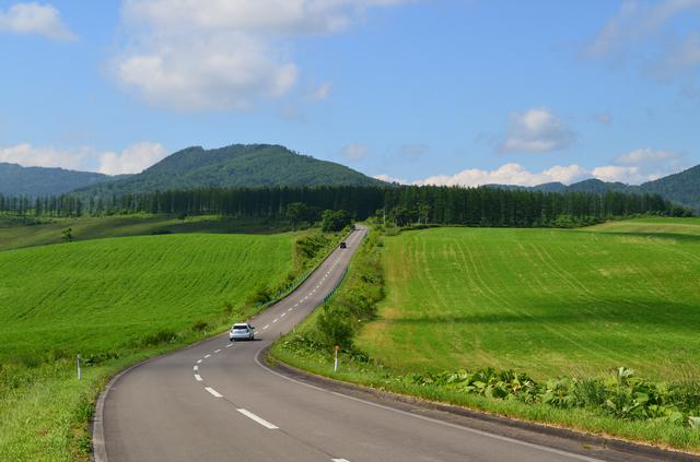 画像3: 何度行っても楽しめる!旅好きに聞いた「北海道でやりたいことリスト」