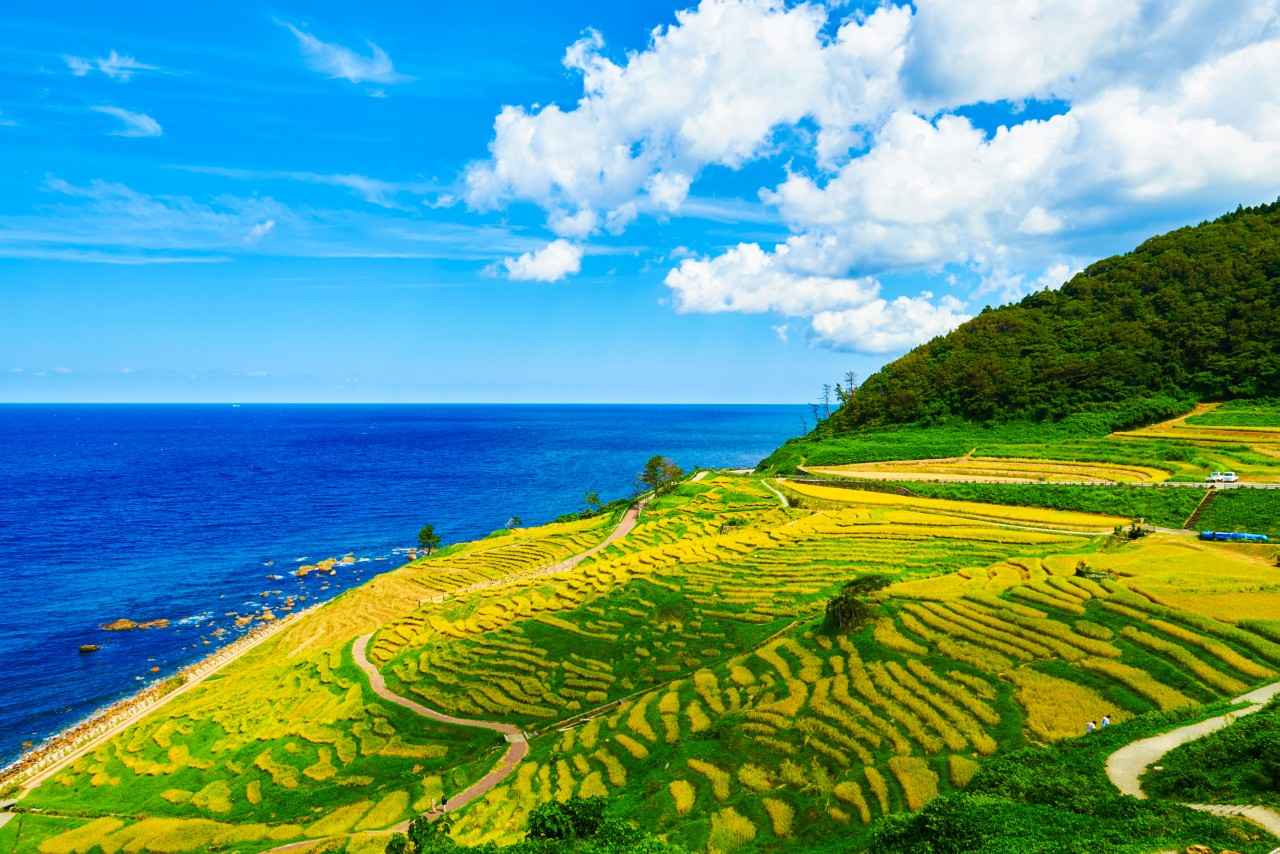 Image 1: Provided by Wajima City