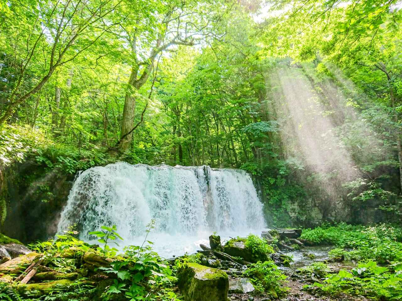 Image 2: Provided by: Towada-Hachimantai National Park Management Office, Ministry of the Environment