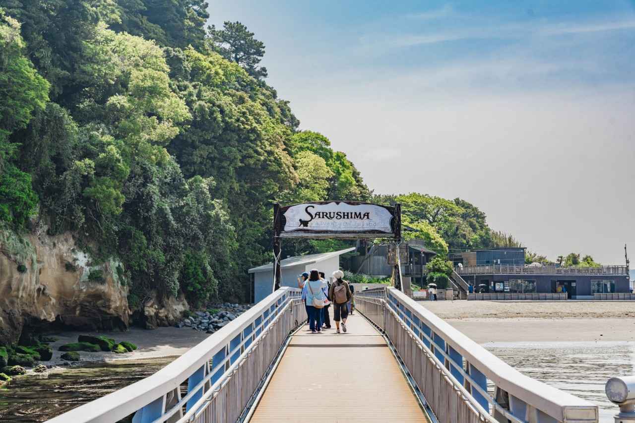 Image 1: Enter the world of a "real Laputa" on Tokyo Bay's Sarushima Island (Kanagawa Prefecture)