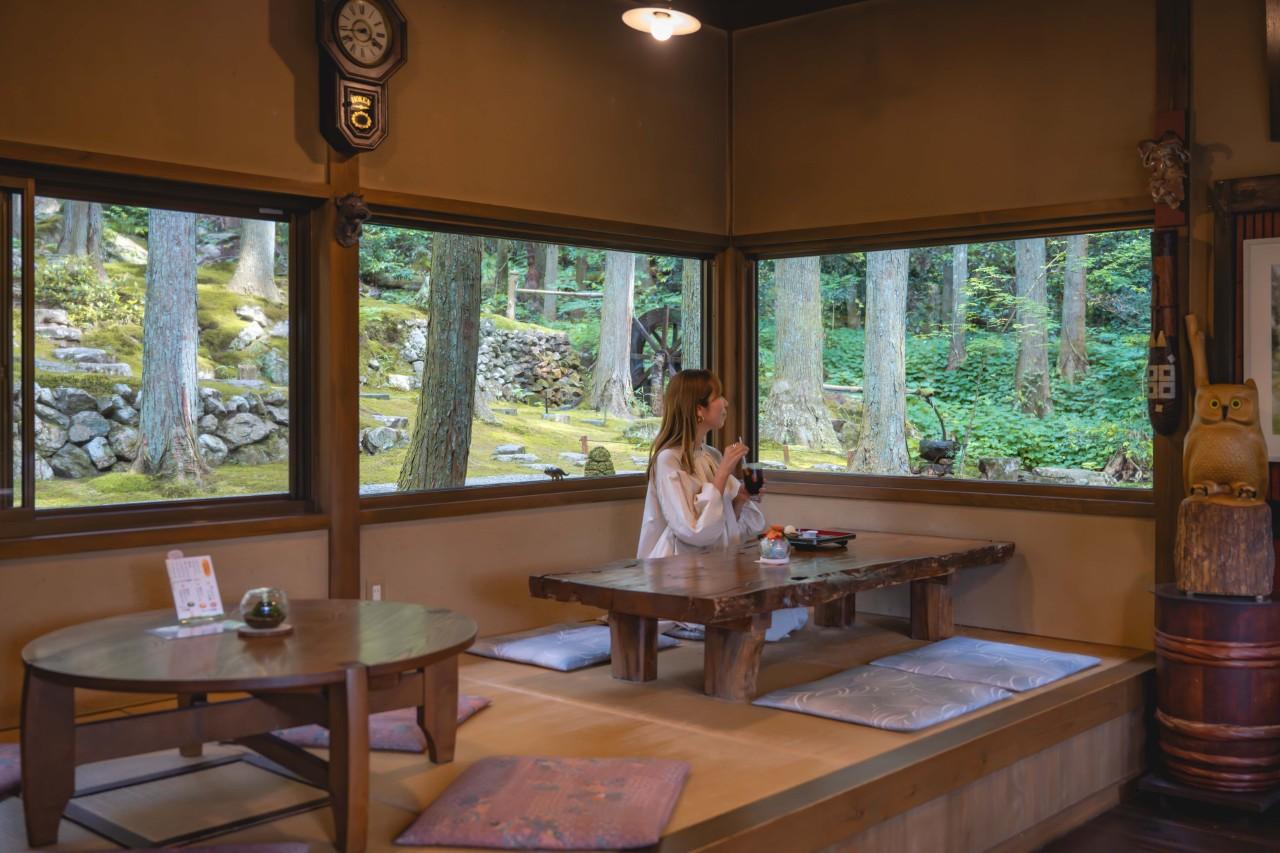 画像2: 苔庭の神秘的な世界が広がる、癒しカフェ「ギャラリー喫茶 こけむしろ」