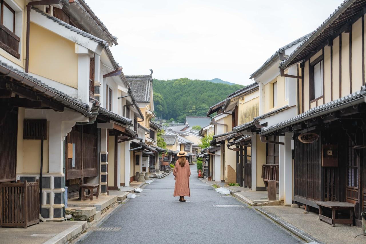 画像1: 宝探しのような町歩きを「八日市・護国の町並み」