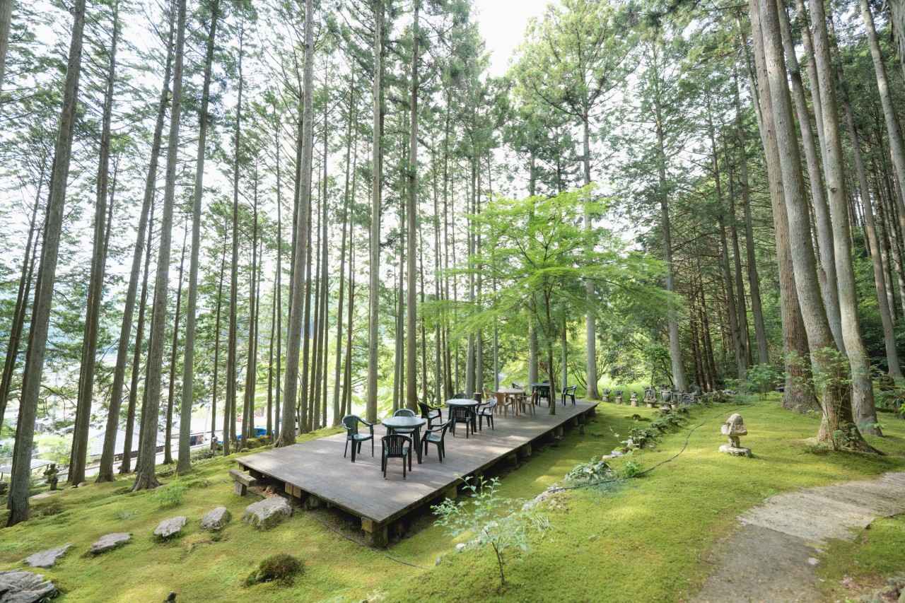 画像4: 苔庭の神秘的な世界が広がる、癒しカフェ「ギャラリー喫茶 こけむしろ」