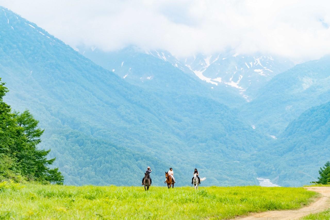 Image 2: Enjoy the spectacular view of the Northern Alps from horseback "Horse Trekking" (Nagano Prefecture)