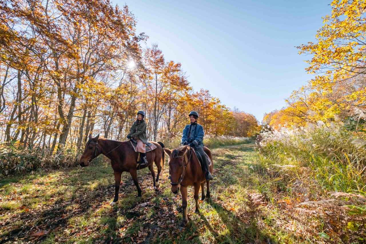 Image 3: Enjoy the spectacular view of the Northern Alps from horseback "Horse Trekking" (Nagano Prefecture)