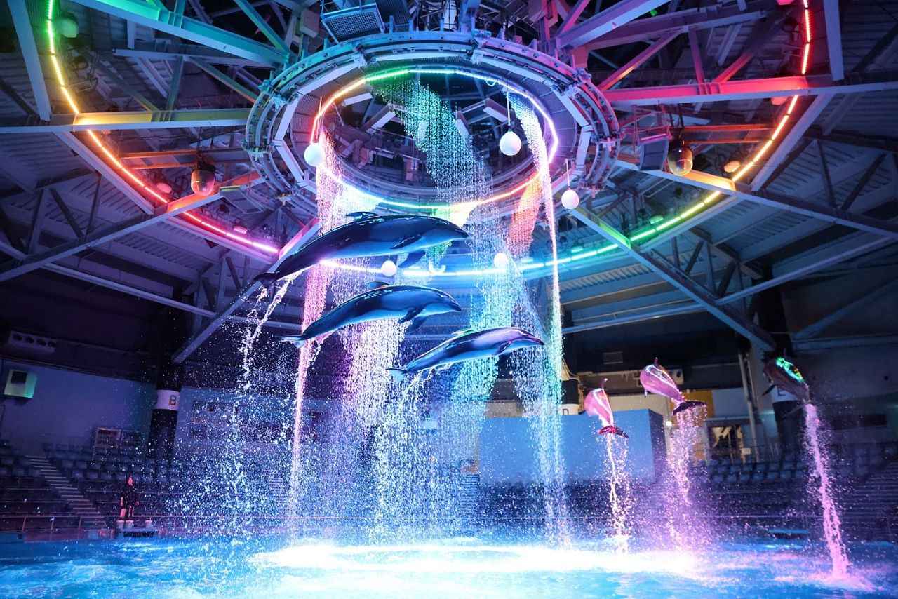 Image 1: Provided by Maxell Aqua Park Shinagawa