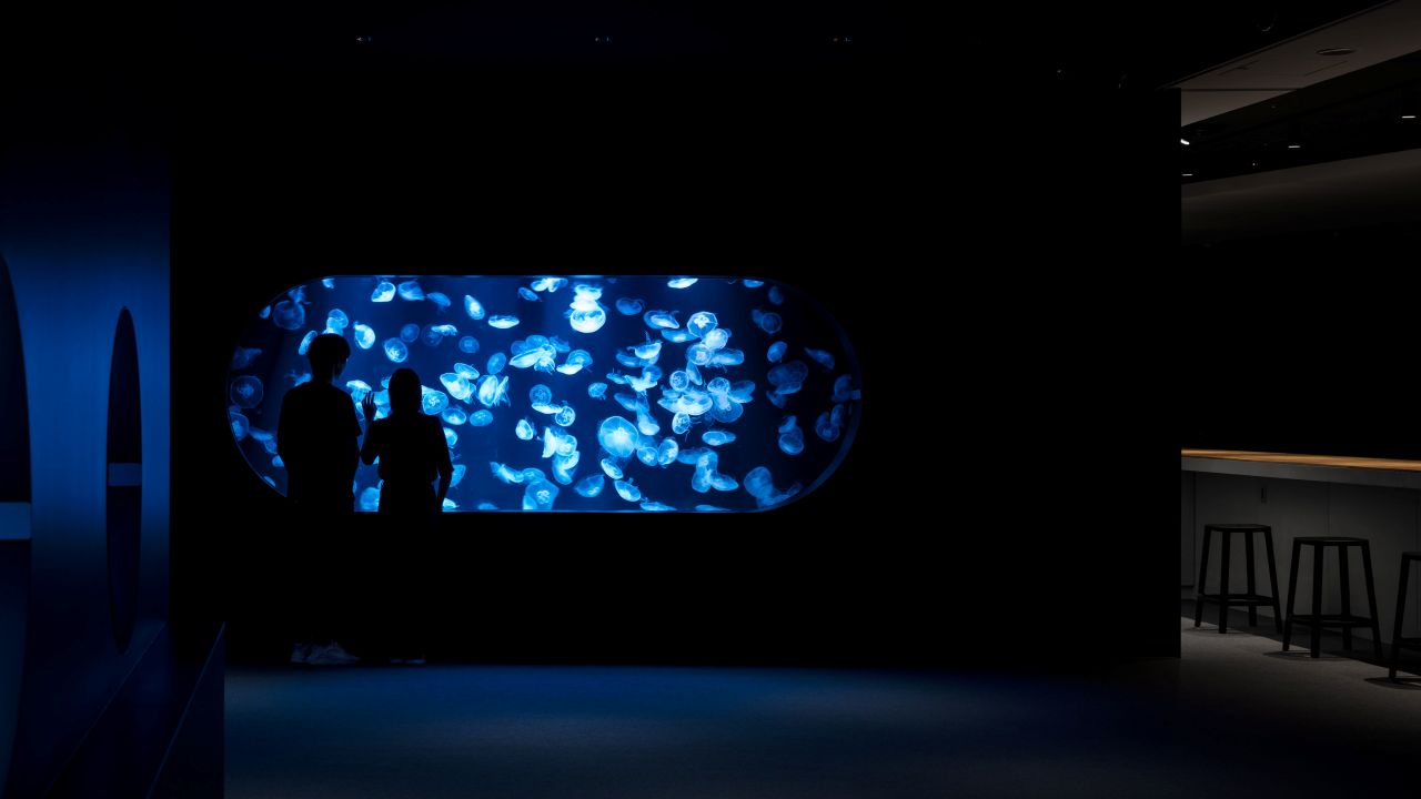 Photo 1: AOAO SAPPORO [Hokkaido] | Enjoy a night at the aquarium with beer and a parfait