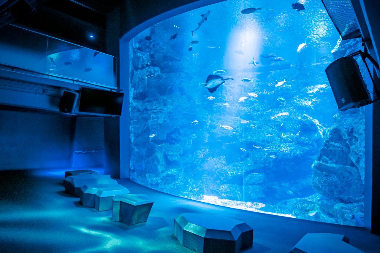 Image 1: Courtesy of Kyoto Aquarium