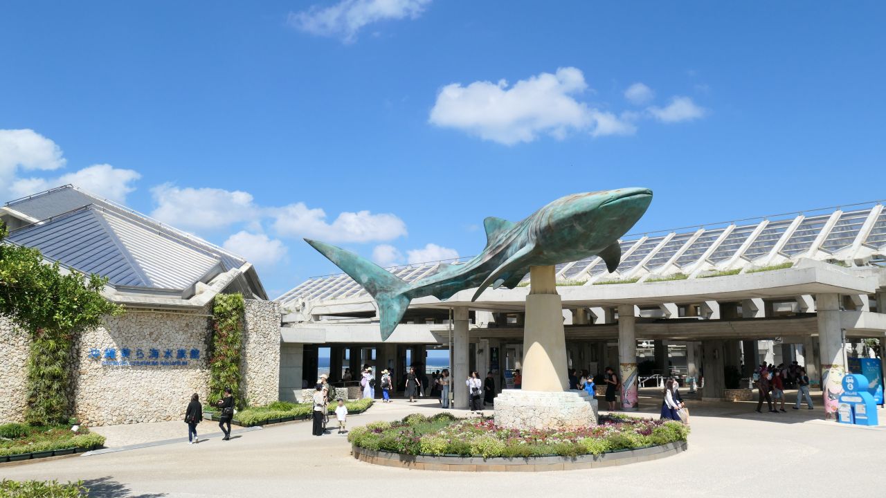 Image 1: Okinawa Memorial National Government Park (Ocean Expo Park) and Okinawa Churaumi Aquarium