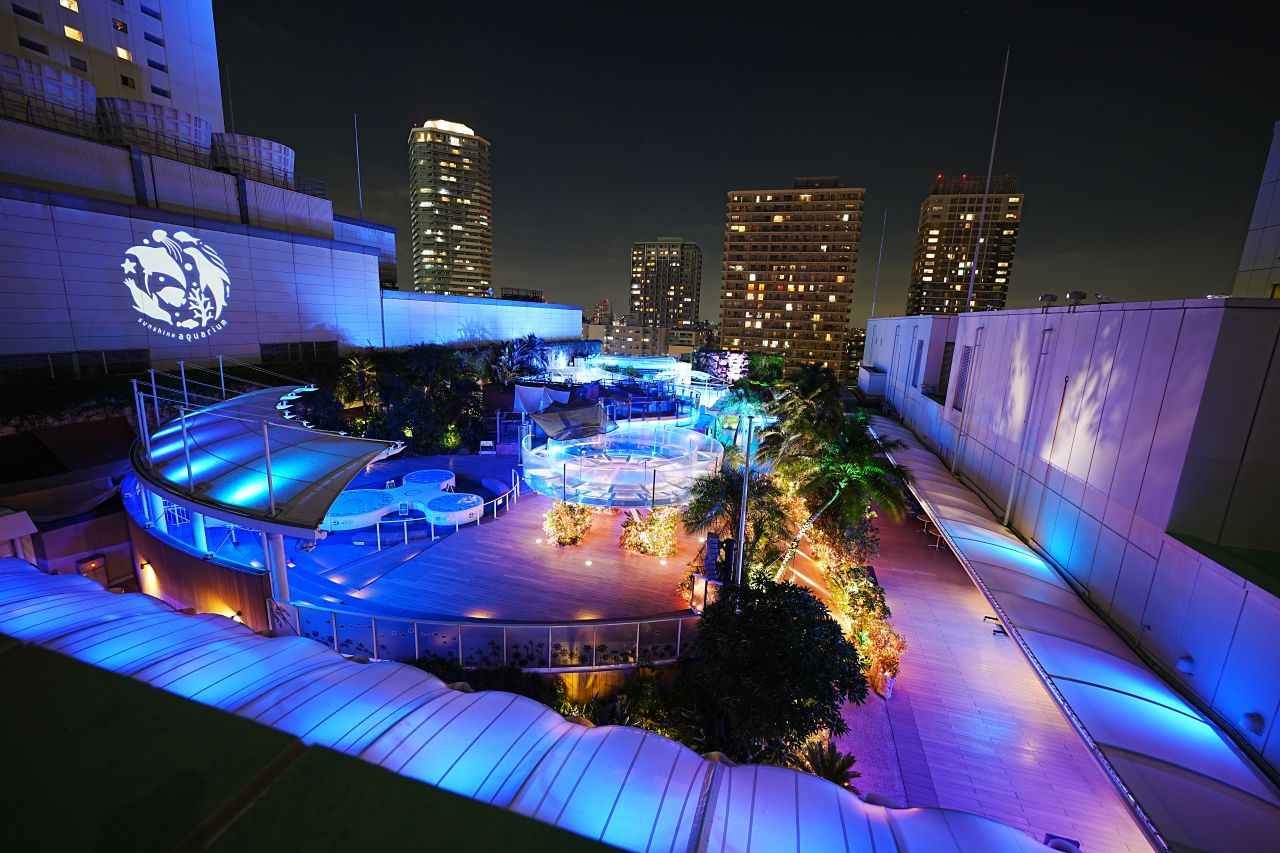 Image 2: Sunshine Aquarium [Tokyo] | Penguins fly in the night sky in an aerial oasis 40 meters above ground