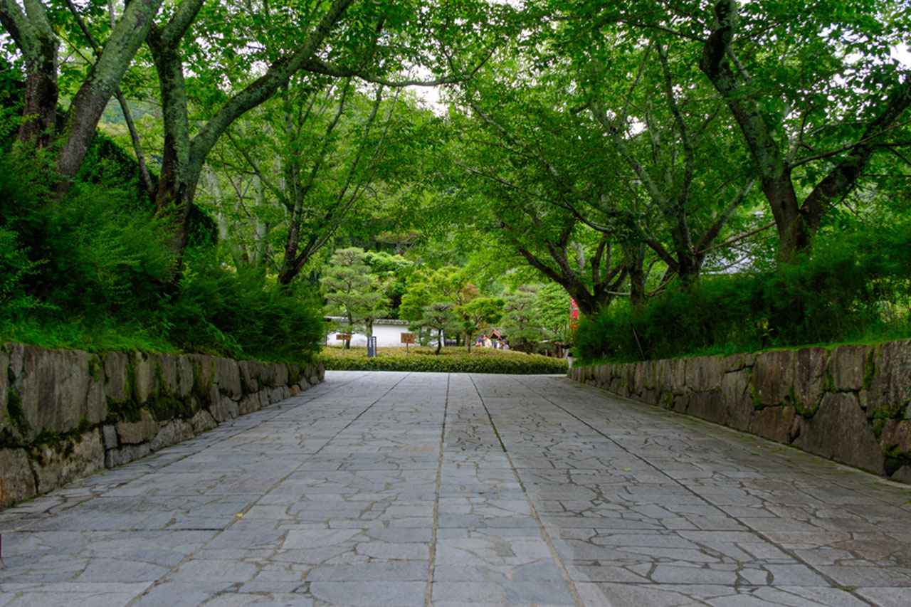 画像: 奥殿陣屋の門から、自然と歴史の物語が静かにはじまる