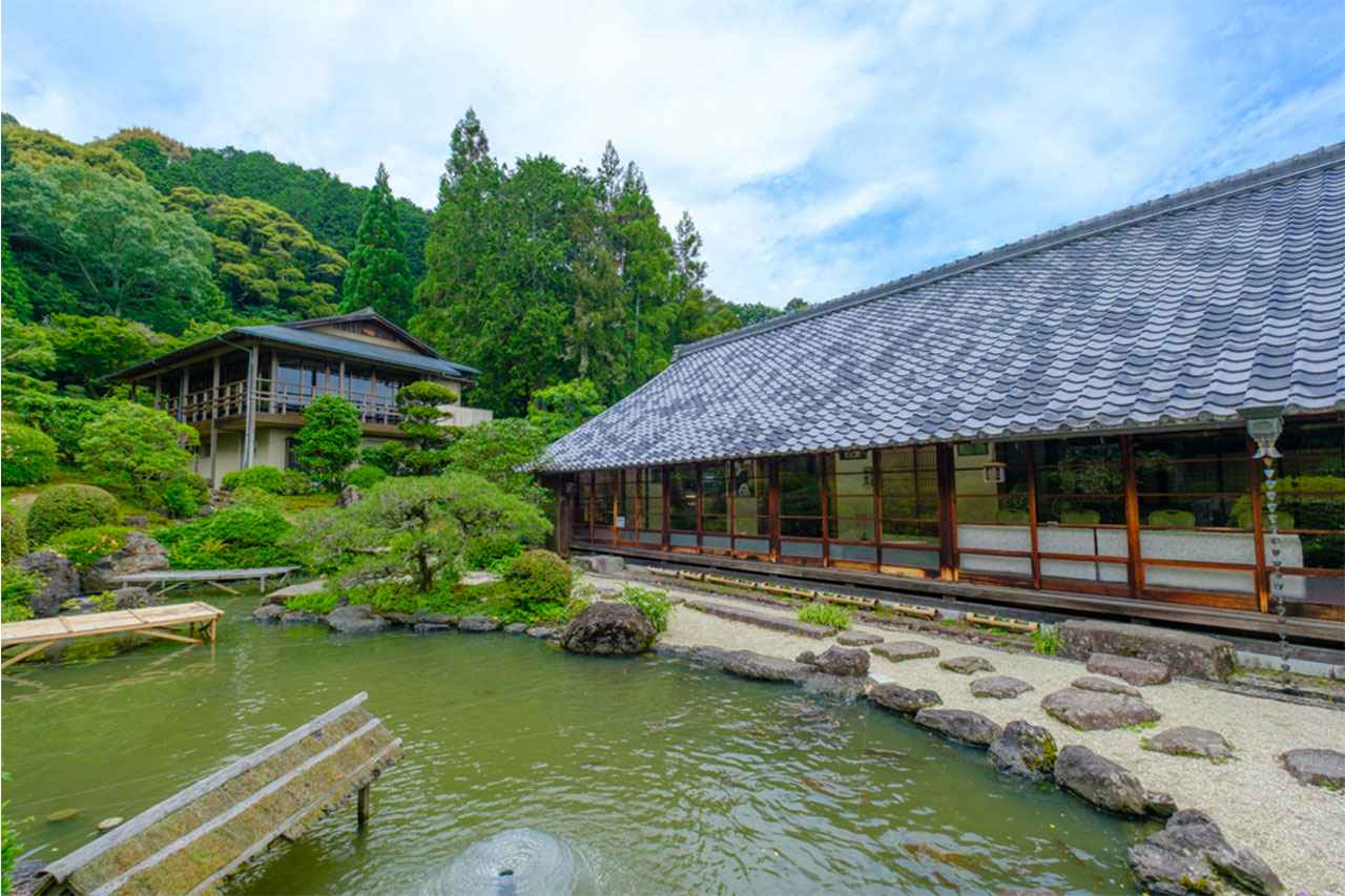 画像: 鯉が泳ぐ庭と書院、奥には当時の茶室「金鳳亭」の名を今に伝える食事処が静かに佇む