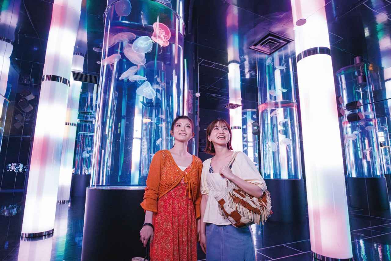 Photo: 12 recommended spots to enjoy Okinawa on a rainy day! Recommended indoor sightseeing spots where you can stay dry