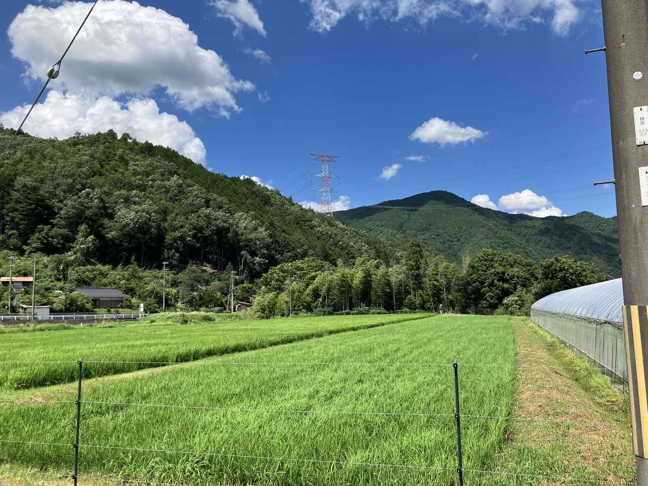 画像1: 「こと美山」冷めても際立つ甘み！美山のきれいな水で大切に育てられるお米