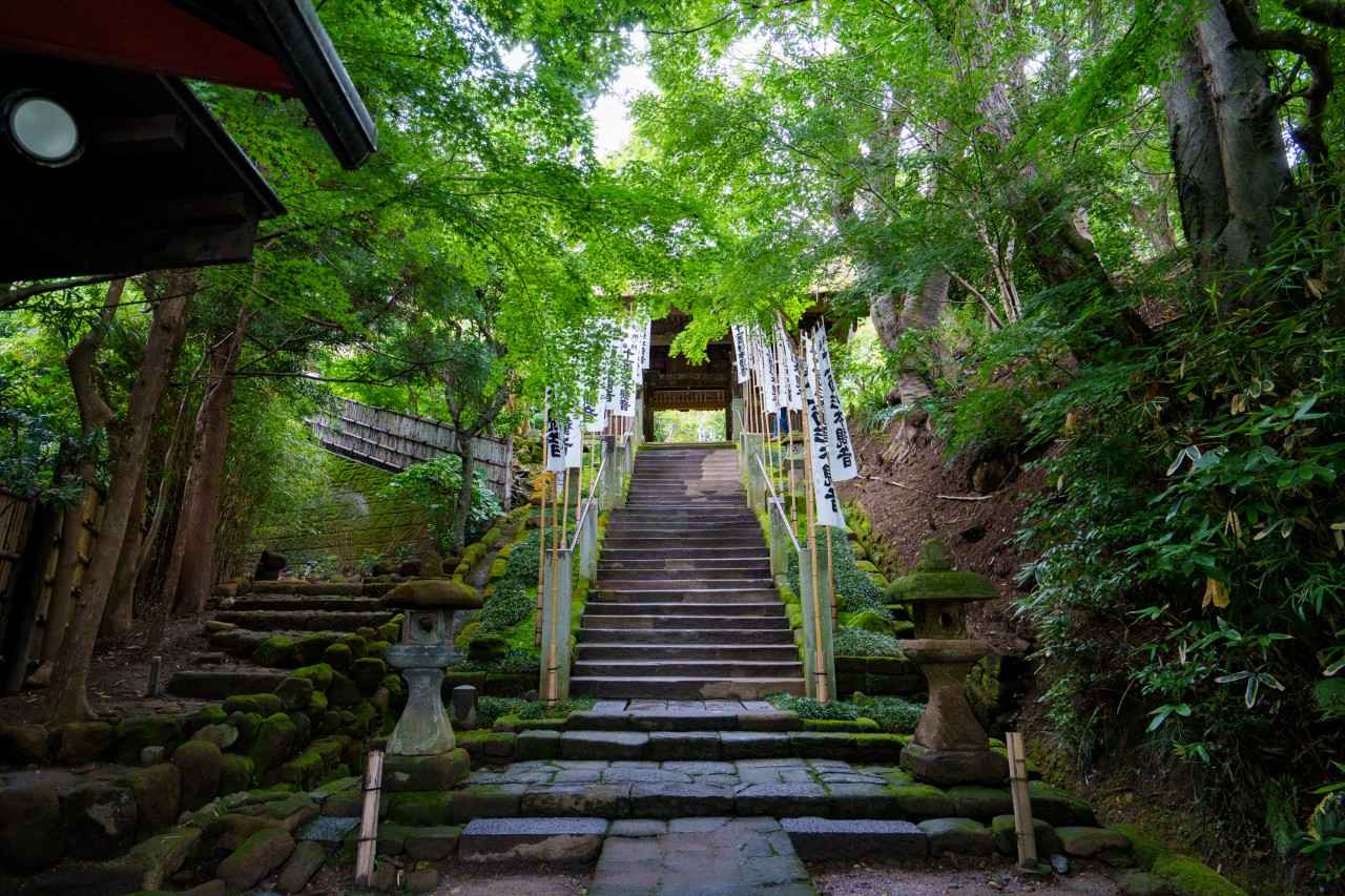 画像1: 【体験&フォトスポット】鎌倉最古のお寺で歴史を感じる|杉本寺